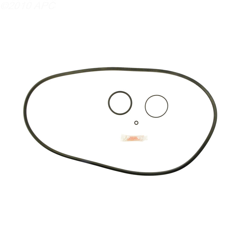 Pentair FNS DE Filter Repair Kit (APCK1167)