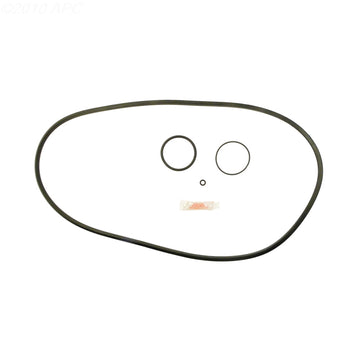 Pentair FNS DE Filter Repair Kit (APCK1167)