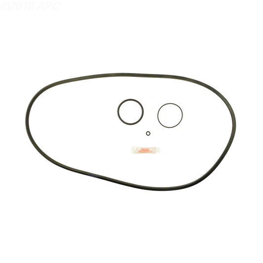 Pentair FNS DE Filter Repair Kit (APCK1167)