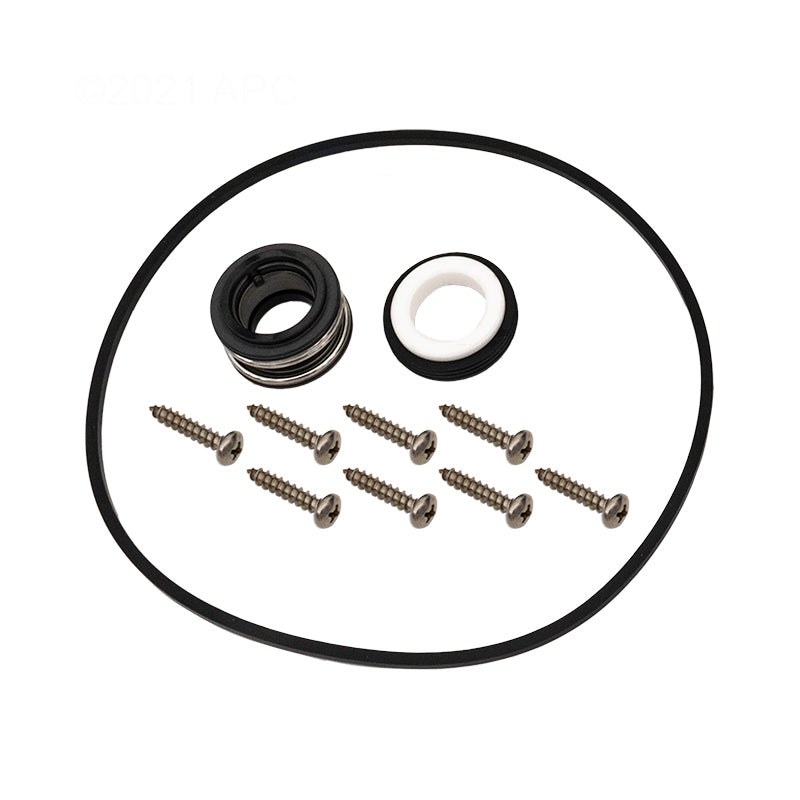Sundance / Jacuzzi TheraFlo / TheraMax 2.5 HP Wet End Kit (APCK1186)