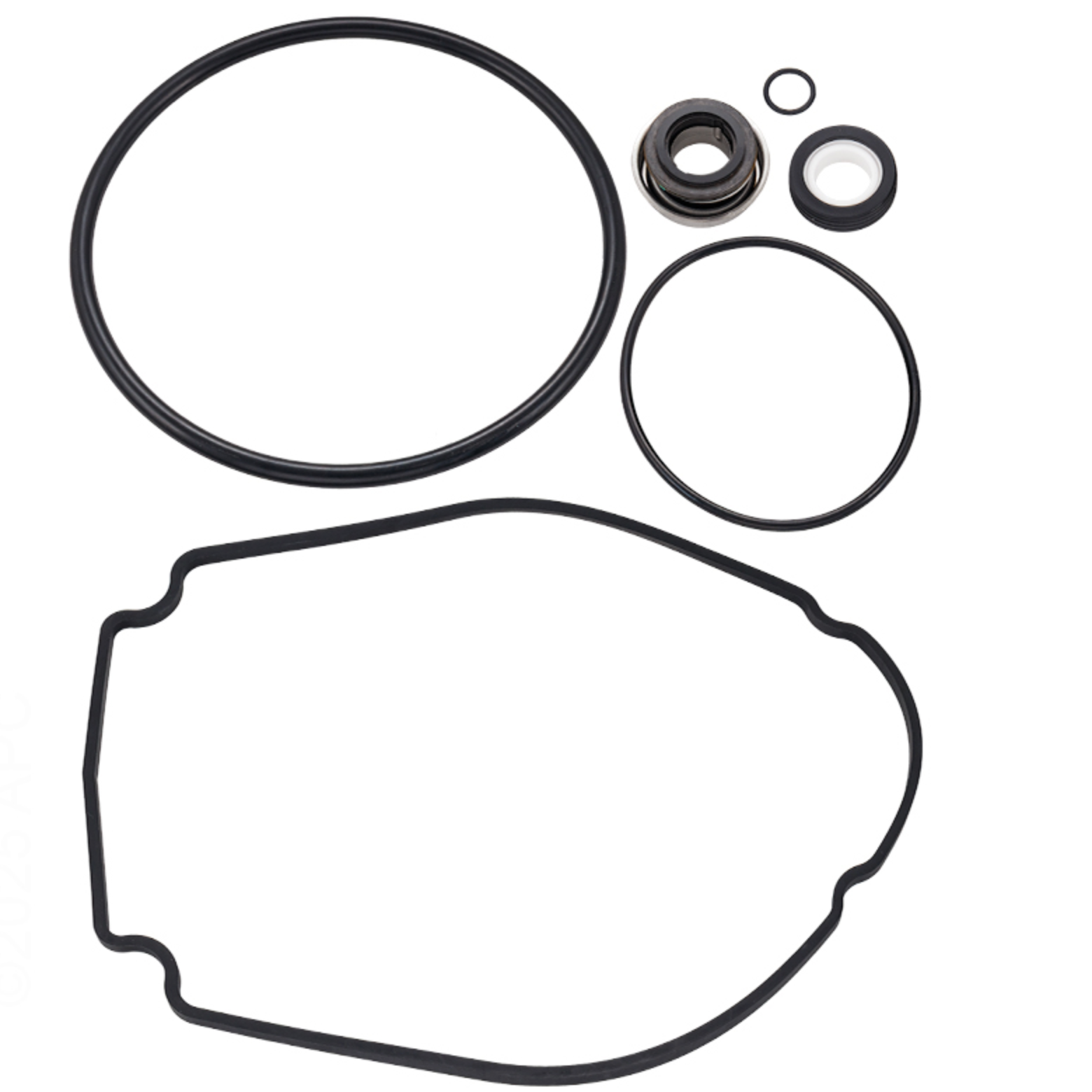 Waterway Champion SMF56 Pump Repair Kit (APCK1201)