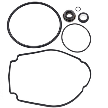 Waterway Champion SMF56 Pump Repair Kit (APCK1201)