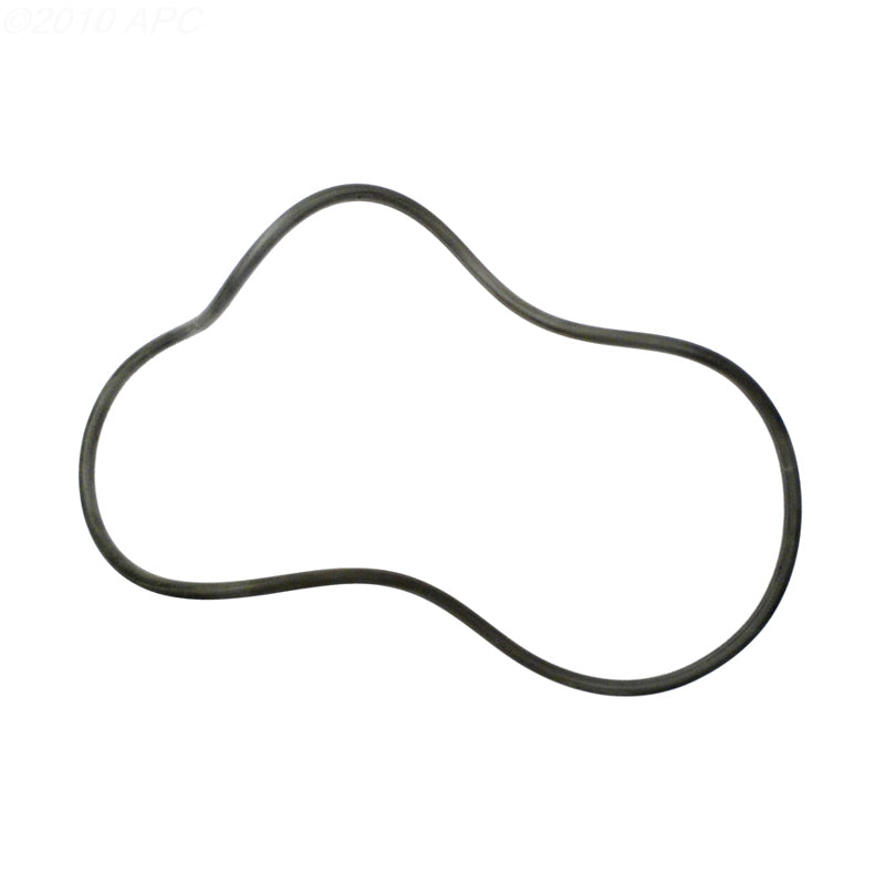 Aladdin O-202 20 in Tank O-Ring for Lomart, Replaces 53-174 (APCO2055)