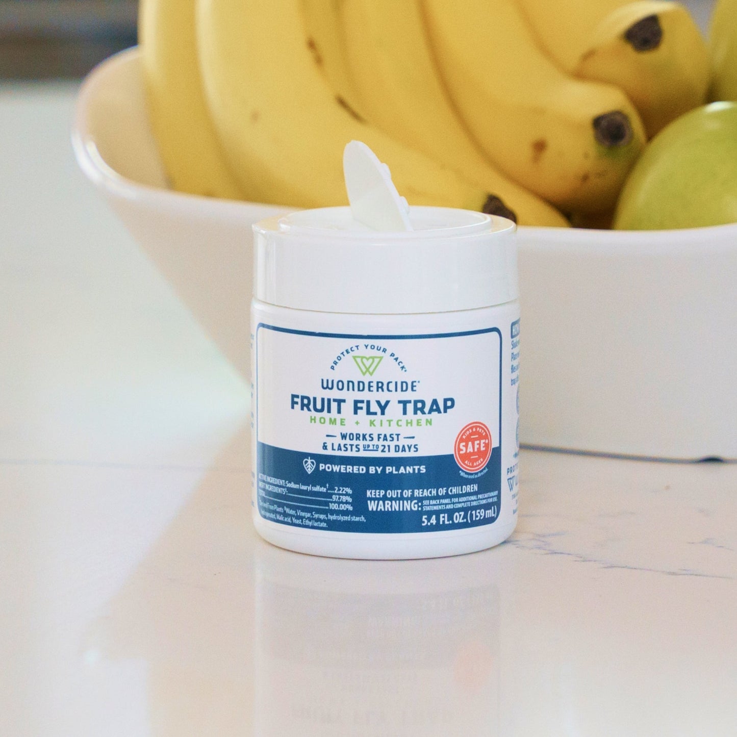 Fruit Fly Trap for Home + Kitchen