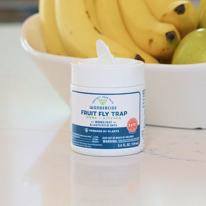 Fruit Fly Trap for Home + Kitchen