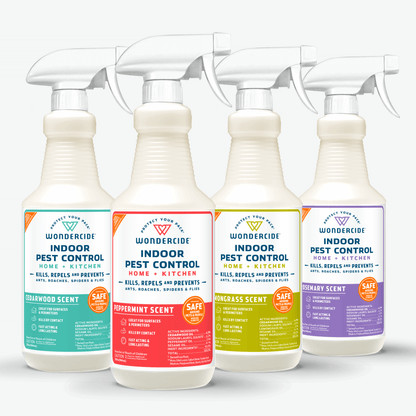 Indoor Pest Control for Home + Kitchen with Natural Essential Oils