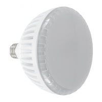 46611 PureWhite LED Pool Lamp - 2800 Lumens - 120V
