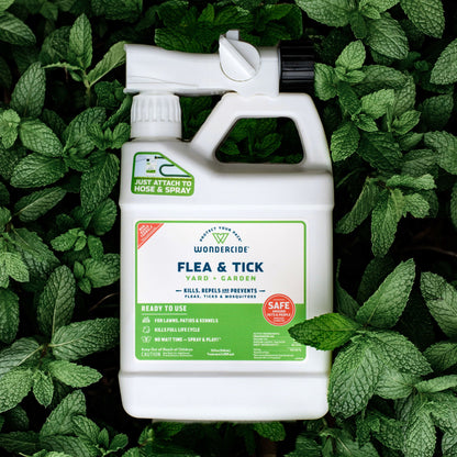 Ready-to-Use Flea & Tick Spray for Yard + Garden with Natural Essential Oils