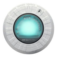 Spa Electrics Retro 10" (R10) Multi Plus Led, Grey 10" Hayward Niche Adapter, Plug Seal Assy Kit, Grey Rim, R10H L12 R1 GMP