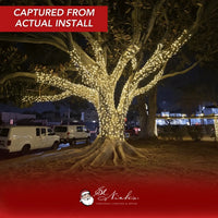 LED Mini Lights 5MM Warm White Static Green Wire 4" Spacing