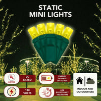 LED Mini Lights 5MM Yellow Static Green Wire - 6" Spacing