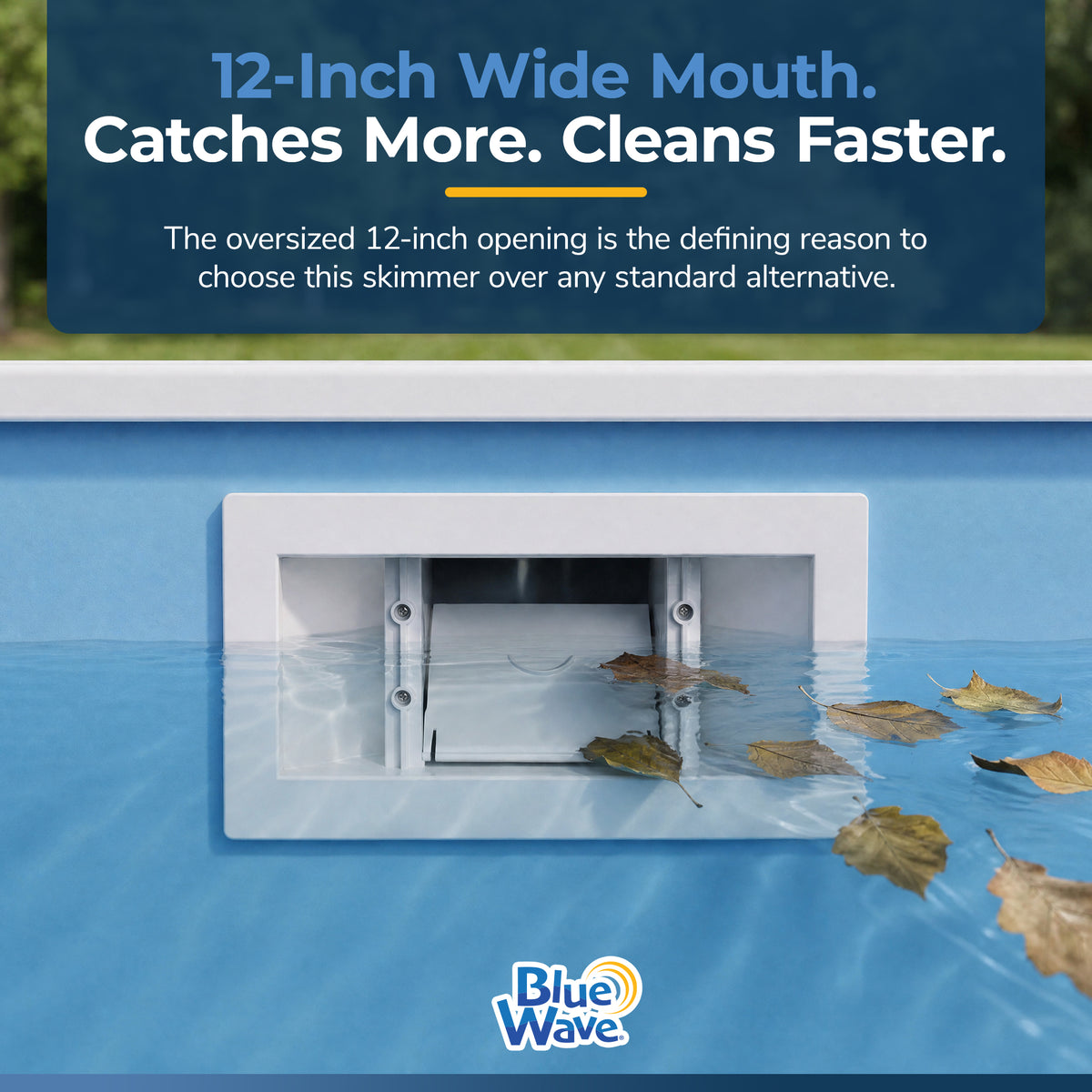 Widemouth Skimmer and Return, feature detail (image 2)