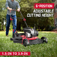 21'' 140cc Gas Push Lawn Mower w/ Briggs & Stratton E550 Engine B8621P