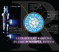 Solaxx Renaissance UV Inground Ozone Generator, 35K Gallons, 220V (UV4000A)