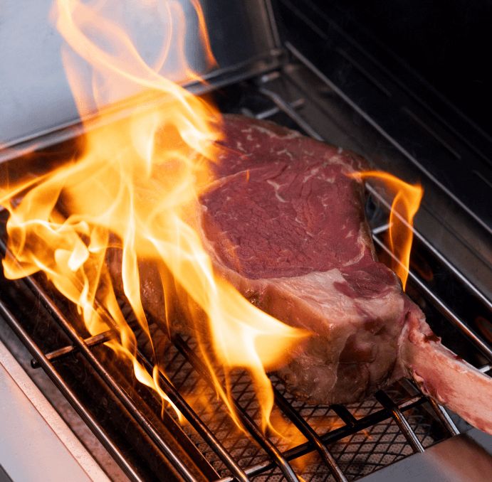 Eminence 405 | Chic Clearview® Smart Stainless Gas Grill