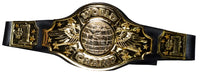 Championship Boxing Champion Wrestling Belt Costume Accessory