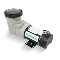 Blue Wave Tidal Wave Maxi II 1 HP Dual-Speed Above Ground Pool Pump, NE6181